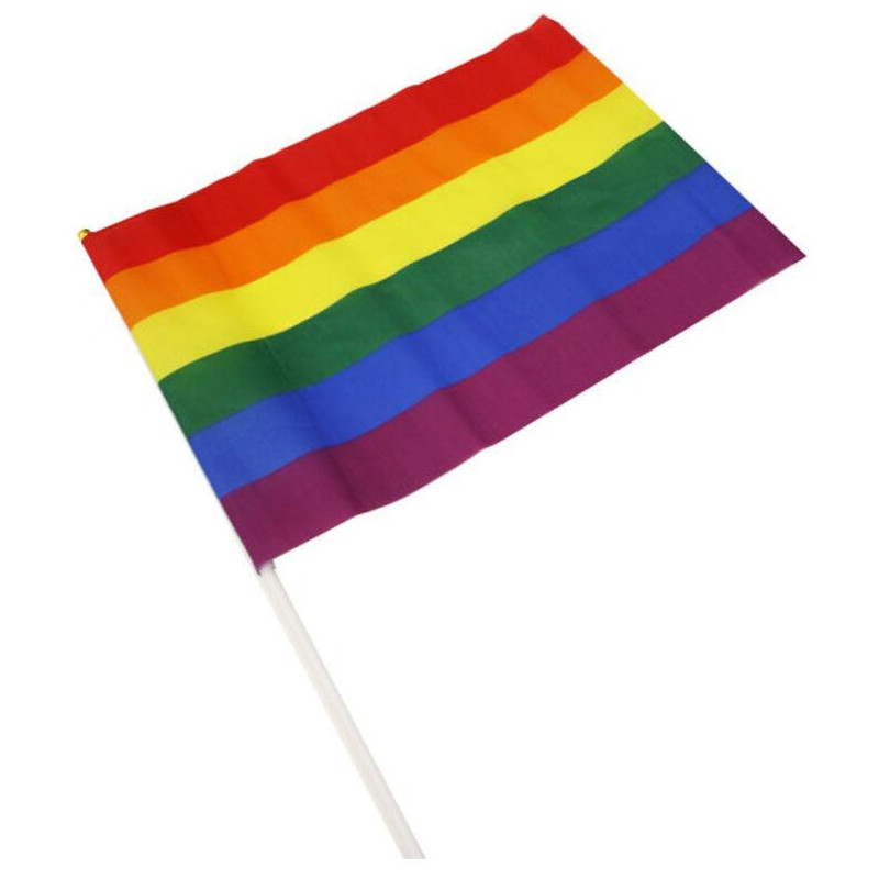 Pride Items Drapeau Rainbow avec manche 20 x 28cm
